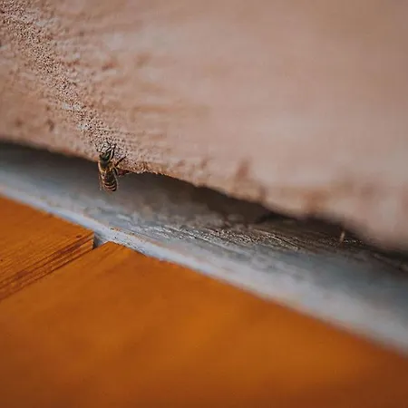 Sleeping With Bees - Tourist Farm Muha *