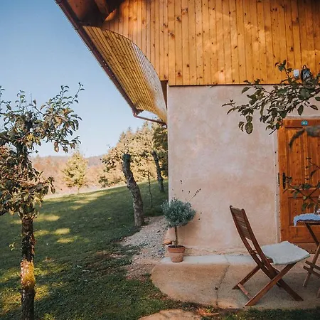 Apartman Sleeping With Bees - Tourist Farm Muha Grosuplje