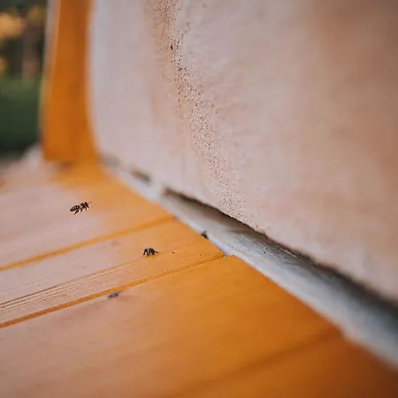 Apartman Sleeping With Bees - Tourist Farm Muha *