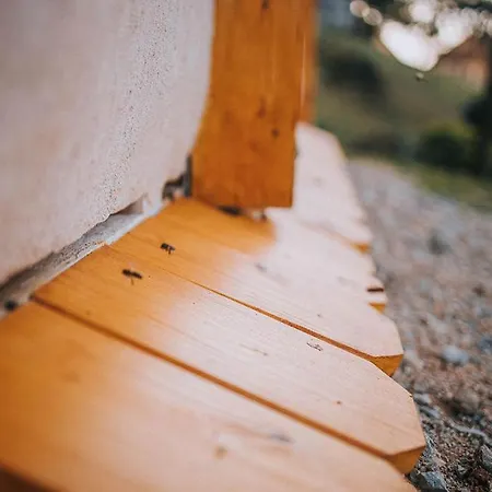 Sleeping With Bees - Tourist Farm Muha Apartmán