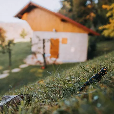 Apartman Sleeping With Bees - Tourist Farm Muha Grosuplje