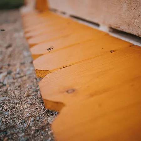 Apartmán Sleeping With Bees - Tourist Farm Muha Grosuplje