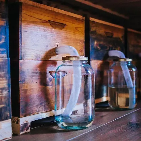 Sleeping With Bees - Tourist Farm Muha