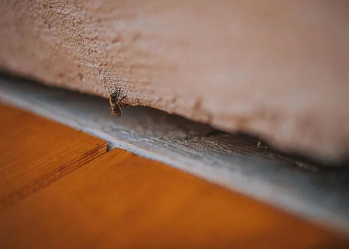 Sleeping With Bees - Tourist Farm Muha *