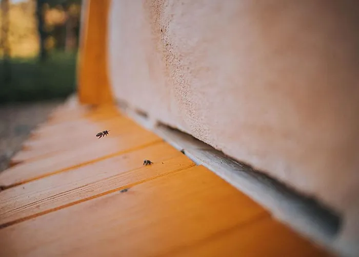 شقة Sleeping With Bees - Tourist Farm Muha *