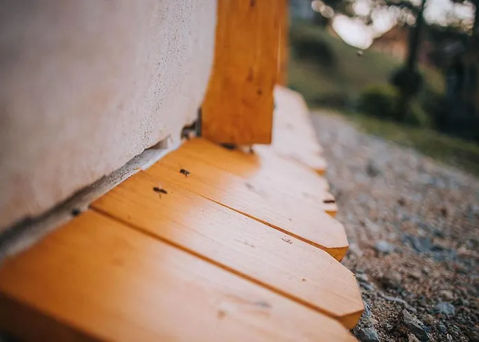 Sleeping With Bees - Tourist Farm Muha شقة