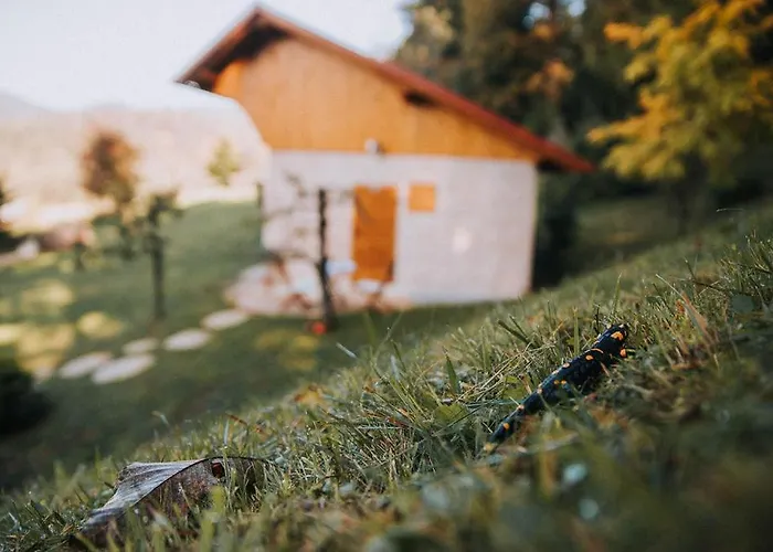 Διαμέρισμα Sleeping With Bees - Tourist Farm Muha Grosuplje