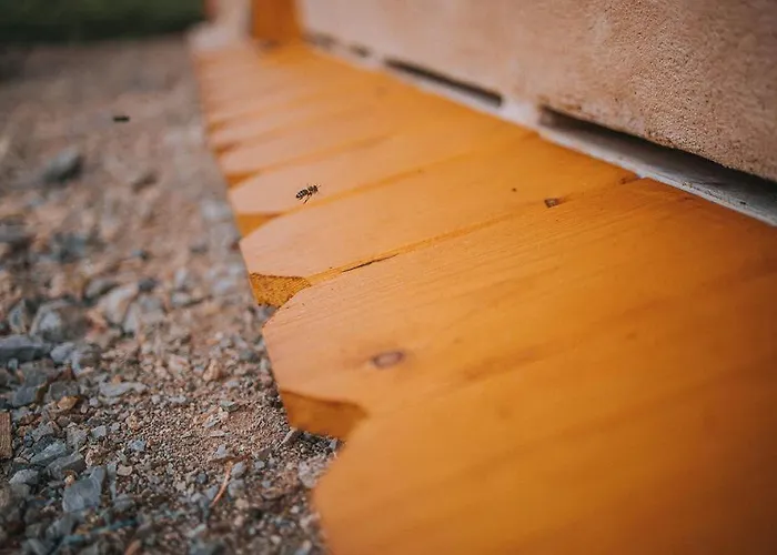 Appartement Sleeping With Bees - Tourist Farm Muha Grosuplje