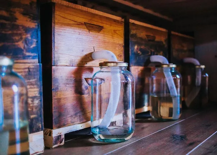 Sleeping With Bees - Tourist Farm Muha