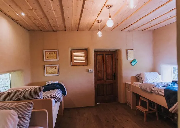 Διαμέρισμα Sleeping With Bees - Tourist Farm Muha *